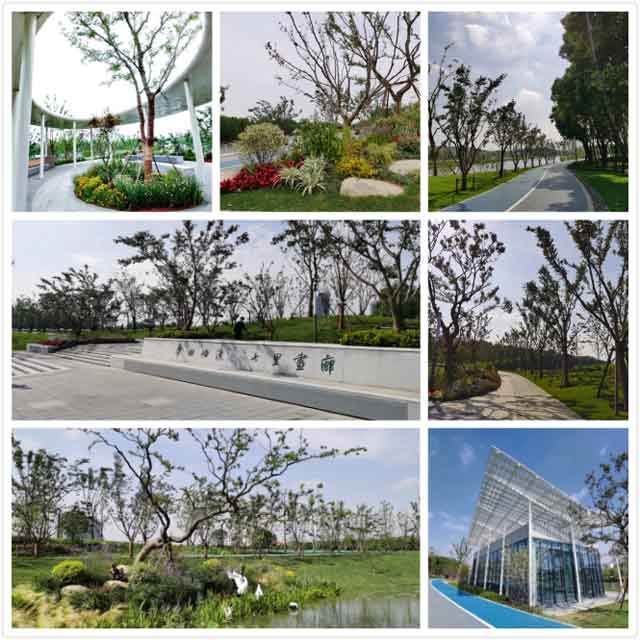 H:\新建文件夾\2ps.jpg H:\新建文件夾\2ps.jpg